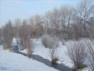 EchtzerWinter2010Januar 016