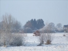 EchtzerWinter2010Januar 017