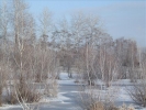 EchtzerWinter2010Januar 018