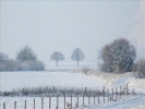 EchtzerWinter2010Januar 019