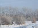 EchtzerWinter2010Januar 020