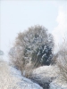 EchtzerWinter2010Januar 021
