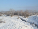 EchtzerWinter2010Januar 022