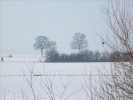 EchtzerWinter2010Januar 024