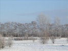 EchtzerWinter2010Januar 025