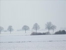 EchtzerWinter2010Januar 027