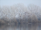 EchtzerWinter2010Januar 033