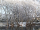 EchtzerWinter2010Januar 039