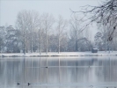 EchtzerWinter2010Januar 042