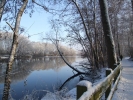 EchtzerWinter2010Januar 044