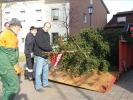 HGV-Weihnachtsbaum2011 003
