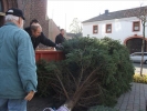 HGV-Weihnachtsbaum2011 005