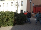 HGV-Weihnachtsbaum2011 006