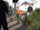 HGV-Weihnachtsbaum2011 008
