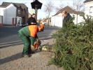 HGV-Weihnachtsbaum2011 009