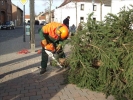 HGV-Weihnachtsbaum2011 010