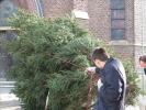 HGV-Weihnachtsbaum2011 013