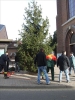 HGV-Weihnachtsbaum2011 016