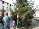 HGV-Weihnachtsbaum2011 021