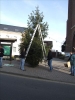 HGV-Weihnachtsbaum2011 025