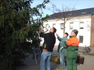 HGV-Weihnachtsbaum2011 031