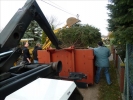 HGV-Weihnachtsbaum2011 044