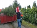 HGV-Weihnachtsbaum2011 052