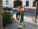 HGV-Weihnachtsbaum2011 061