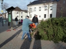 HGV-Weihnachtsbaum2011 064