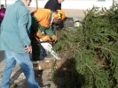 HGV-Weihnachtsbaum2011 065