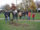 Stifterwald2004 007