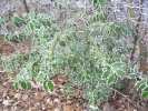 Adventwanderung2004 008