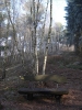 Adventwanderung2004 019