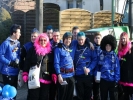 Rosenmontagszug2012 002