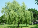 Stifterwaldtreff2005 008