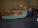 HobbyKuenstlerMarkt2007 027