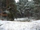 HGVWinterwanderung2005 006