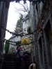 HGVWinterwanderung2005 016