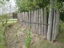 ProjektwocheKGS 024