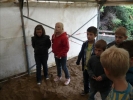 ProjektwocheKGS 054