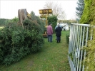 WeihnachtsbaumEchtz 003