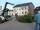 WeihnachtsbaumEchtz 016