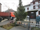 WeihnachtsbaumEchtz 017