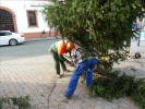 WeihnachtsbaumEchtz 018