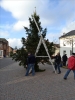 WeihnachtsbaumEchtz 021