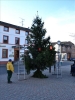 WeihnachtsbaumEchtz 025