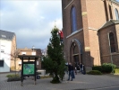WeihnachtsbaumEchtz 034
