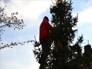 WeihnachtsbaumEchtz 037