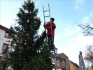 WeihnachtsbaumEchtz 043