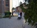 WeihnachtsbaumEchtz 051